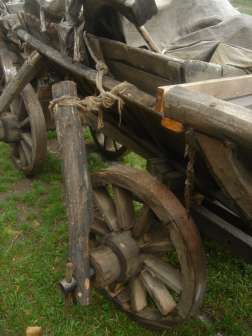 DSC07112.JPG